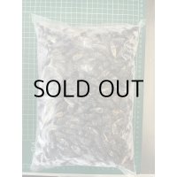 冷凍クロコオロギ　成虫サイズ　1kg（約1000匹入）