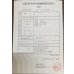 画像3: 過背金龍　ピンポイント国内繁殖個体(2) (3)