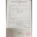 画像3: 過背金龍　ピンポイント国内繁殖個体(5) (3)