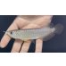 画像2: 紅尾金龍　FOREVER Arowana Aquaculture(1） (2)