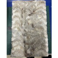 冷凍バナメエビ1.8ｋｇ