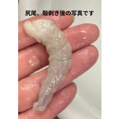 画像2: 冷凍バナメエビ1.8ｋｇ