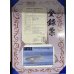 画像3: 過背金龍　ピンポイント国内繁殖個体(2) (3)