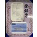 画像3: 過背金龍　ピンポイント国内繁殖個体(1) (3)