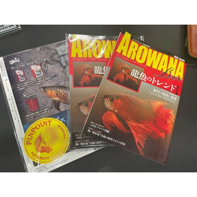 画像1: アロワナライブ　2026　Vol.13