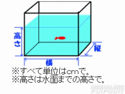 アロワナの塩浴について