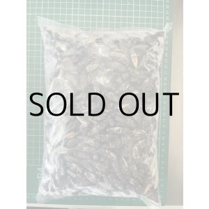 画像: 冷凍クロコオロギ　成虫サイズ　1kg（約1000匹入）