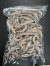 画像: 国産冷凍ドジョウ450g（バラ冷凍）