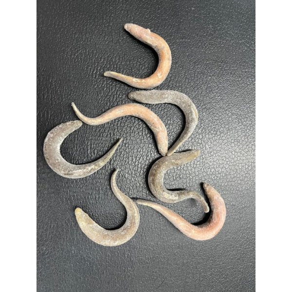 画像2: 国産冷凍ドジョウ450g（バラ冷凍） (2)