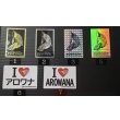 画像7: 紅尾金龍　FOREVER Arowana Aquaculture(2） (7)