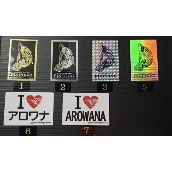 画像7: 紫紅金龍　FOREVER ArowanaAquaculture(2) (7)