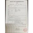 画像3: 過背金龍　ピンポイント国内繁殖個体(2) (3)