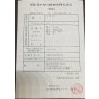 画像3: 過背金龍　ピンポイント国内繁殖個体(1) (3)