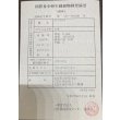 画像3: 過背金龍　ピンポイント国内繁殖個体(4) (3)