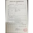 画像3: 過背金龍　ピンポイント国内繁殖個体(3) (3)
