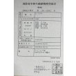 画像6: 紅龍　チリレッド　FOREVER ArowanaAquaculture（2） (6)