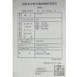 画像6: 紅龍　チリレッド　FOREVER ArowanaAquaculture（3） (6)