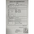 画像6: 紅龍　チリレッド　FOREVER ArowanaAquaculture（1） (6)