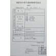 画像6: 過背金龍ブキメラブルーベース　FOREVER ArowanaAquaculture（5） (6)