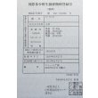 画像6: 過背金龍レディアンスゴールド　FOREVER ArowanaAquaculture(1) (6)