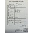 画像6: 過背金龍レディアンスゴールド　FOREVER ArowanaAquaculture(3) (6)