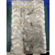 画像1: 冷凍バナメエビ1.8ｋｇ (1)