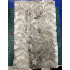 画像: 冷凍バナメエビ1.8ｋｇ