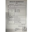 画像6: 紅尾金龍　FOREVER Arowana Aquaculture(2） (6)