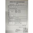 画像6: 過背金龍レディアンスゴールド　FOREVER ArowanaAquaculture(9) (6)