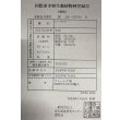 画像6: 過背金龍レディアンスゴールド　FOREVER ArowanaAquaculture(10) (6)