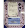 画像3: 過背金龍　ピンポイント国内繁殖個体(1) (3)