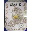 画像4: 過背金龍　ピンポイント国内繁殖個体(1) (4)