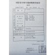 画像6: 紅尾金龍　FOREVER Arowana Aquaculture(10） (6)