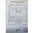画像6: 紅尾金龍　FOREVER Arowana Aquaculture(13） (6)