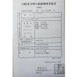 画像6: 紅尾金龍　FOREVER Arowana Aquaculture(1） (6)