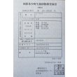 画像6: 紅尾金龍　FOREVER Arowana Aquaculture(3） (6)